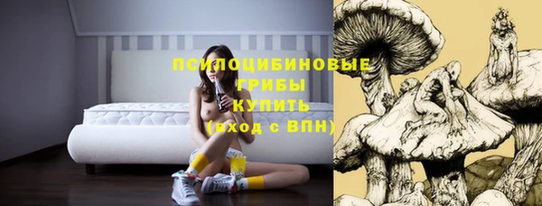 хмурый Армянск