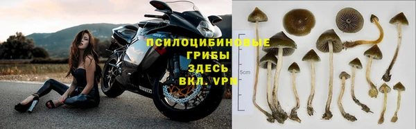мяу мяу мука Алексеевка