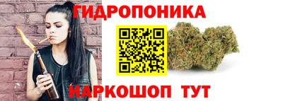 apvp Кунгур