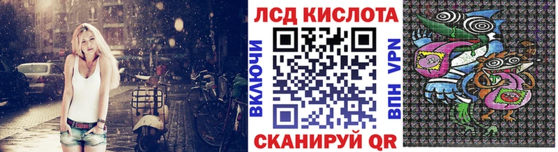 Наркотические марки 1,8мг  цена наркотик  Волхов 