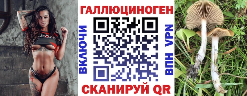 магазин продажи наркотиков Волхов Галлюциногенные грибы прущие грибы