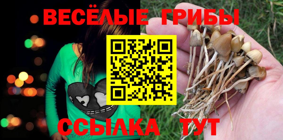 Волхов  продажа наркотиков  Вход с VPN  Псилоцибиновые грибы ЛСД 