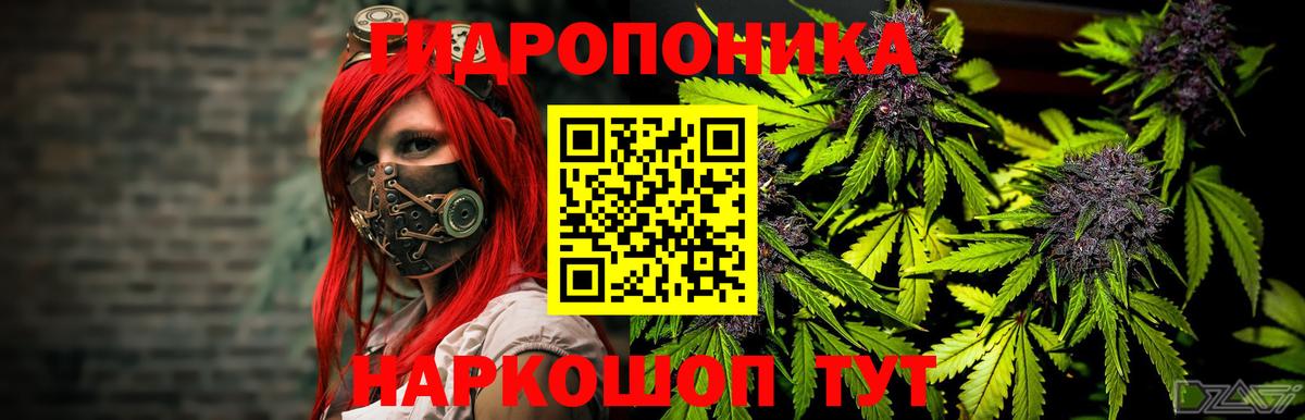 Конопля ГИДРОПОН Волхов